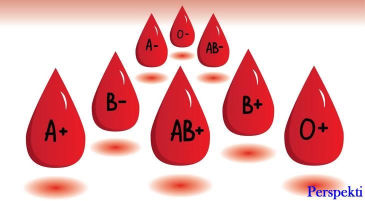 Jan katr grupe t gjakut: A, B, AB, O ato mund t jen me rezus pozitiv dhe negativ.