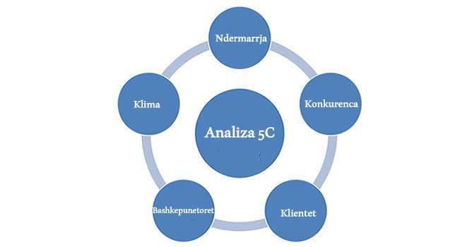 Analiza 5C