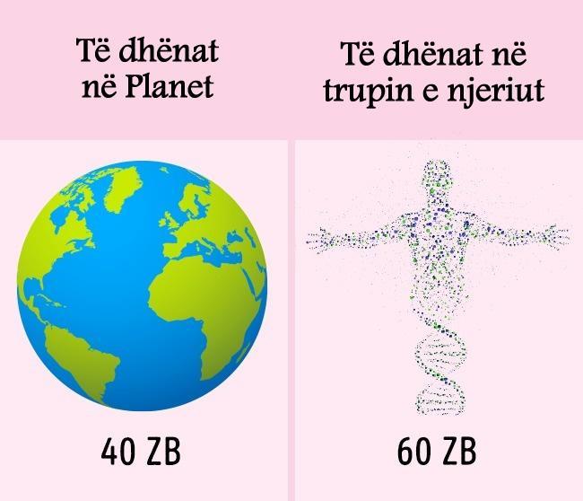 T dhnat n planetin tok VS T dhnat n trupin e njeriut