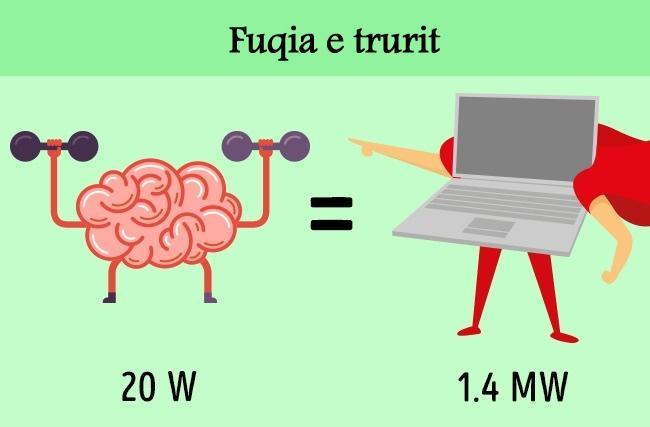 Fuqia e trurit 