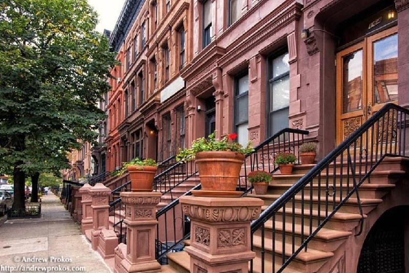 Parku i muzgut, Brooklyn, New York