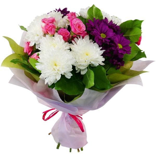 Lule Chrysanthemums