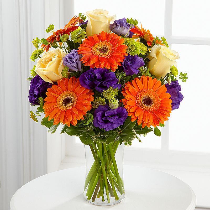 Lulja Gerbera Daisies