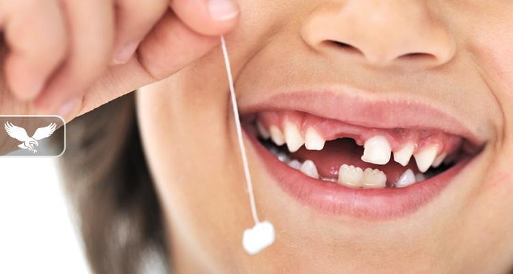 A e dinit që dhëmbët e qumështit mund t'ju shpëtojnë jetën?