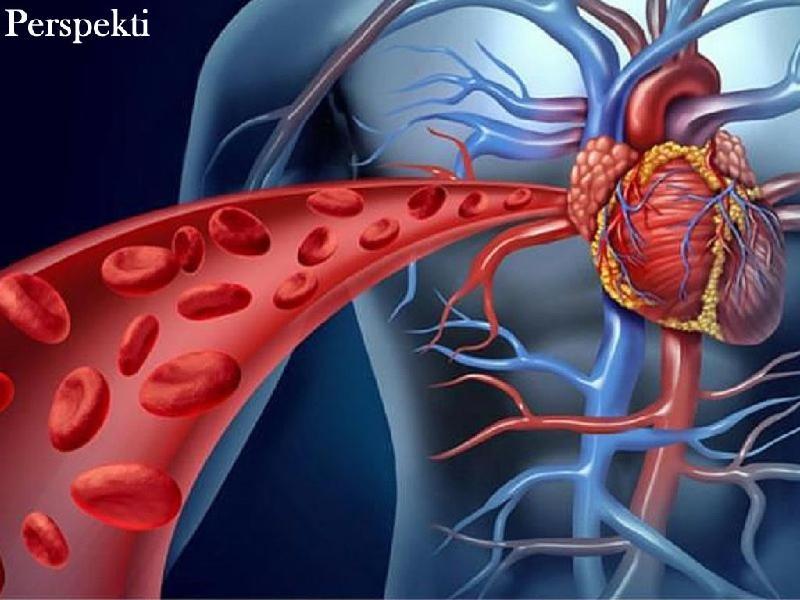 N ka nj problem q prek t gjitha organet dhe qelizat e organizmit t njeriut sht qarkullimi i keq i gjakut.