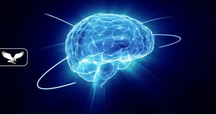 A e dini sa informacion zë truri i një njeriu?