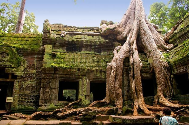 Ta Prohm, Kamboxhia