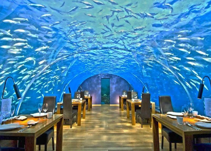 Ithaa Undersea Restaurant n Maldives